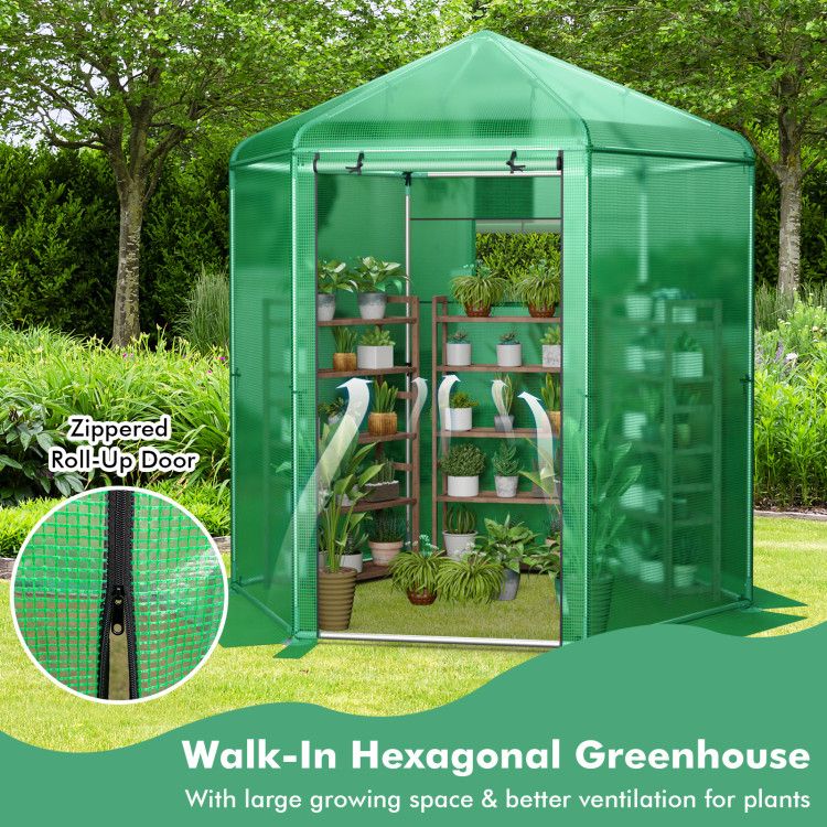 Walk-In Hexagonal Greenhouse with PE Cover and Metal Frame