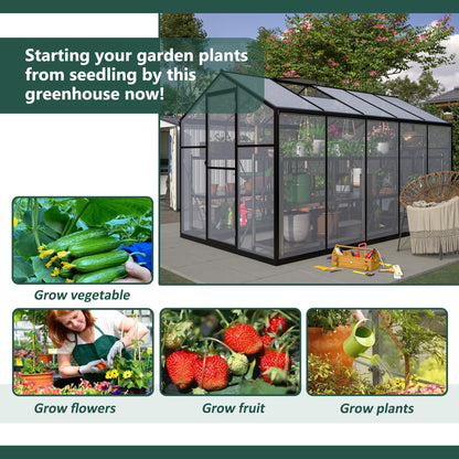 6x10 ft Polycarbonate Greenhouse  with Aluminum Frame Lockable Door & Adjustable Roof Vent