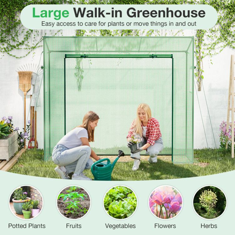 Portable Walk-in Greenhouse with PE Cover Heavy-Duty Metal Frame Roll-up Zipper Door