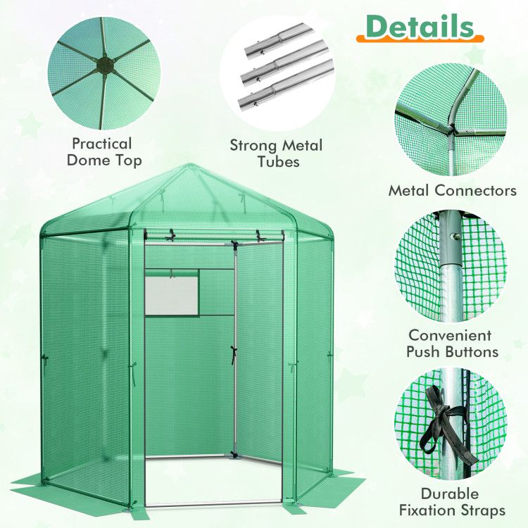 Walk-In Hexagonal Greenhouse with PE Cover and Metal Frame